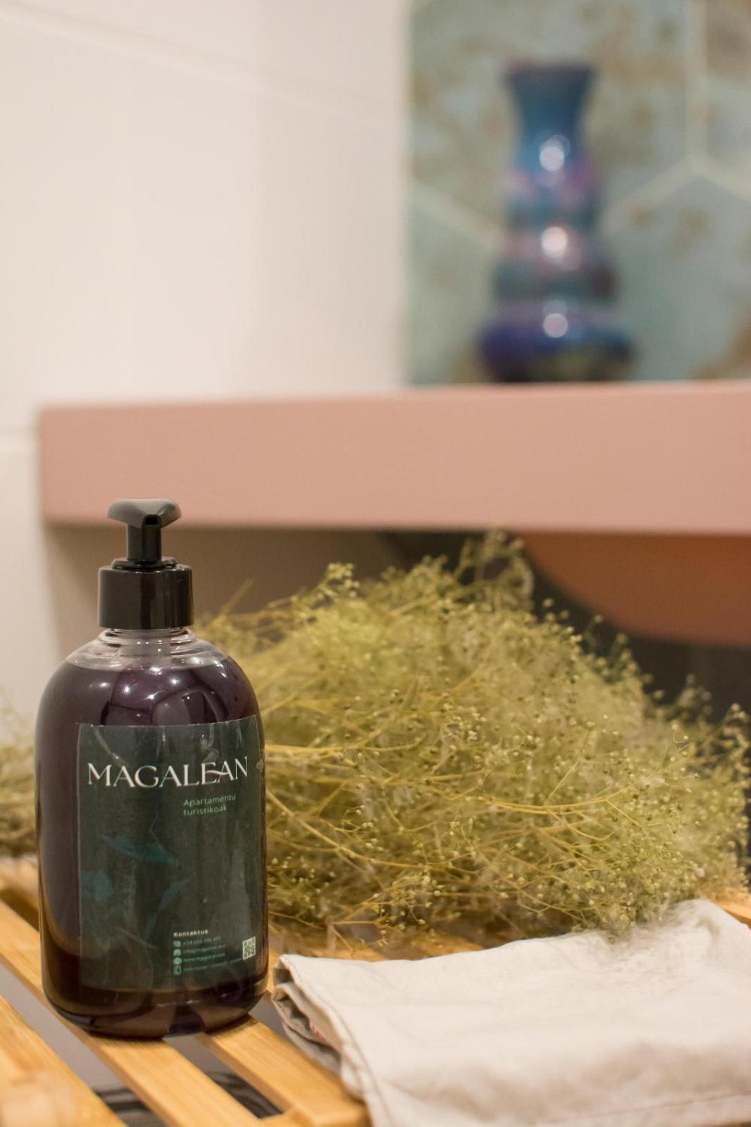 Apartamento Boutique Altzoan Licencia Tss00146 Zarautz