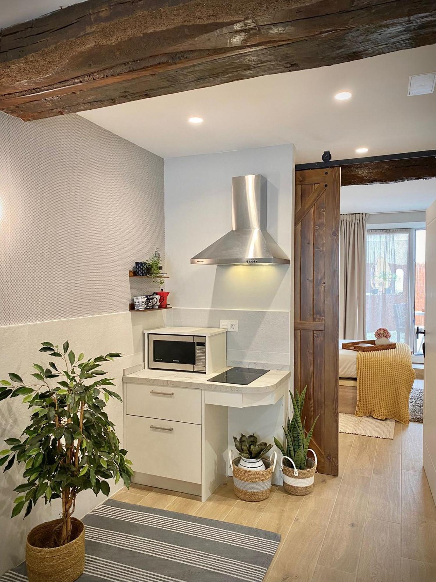 Apartamento Boutique Altzoan Licencia Tss00146